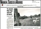 Newspaper clipping: To Stretch Their Legs (All Four of Them) — Sunday Star-Ledger
